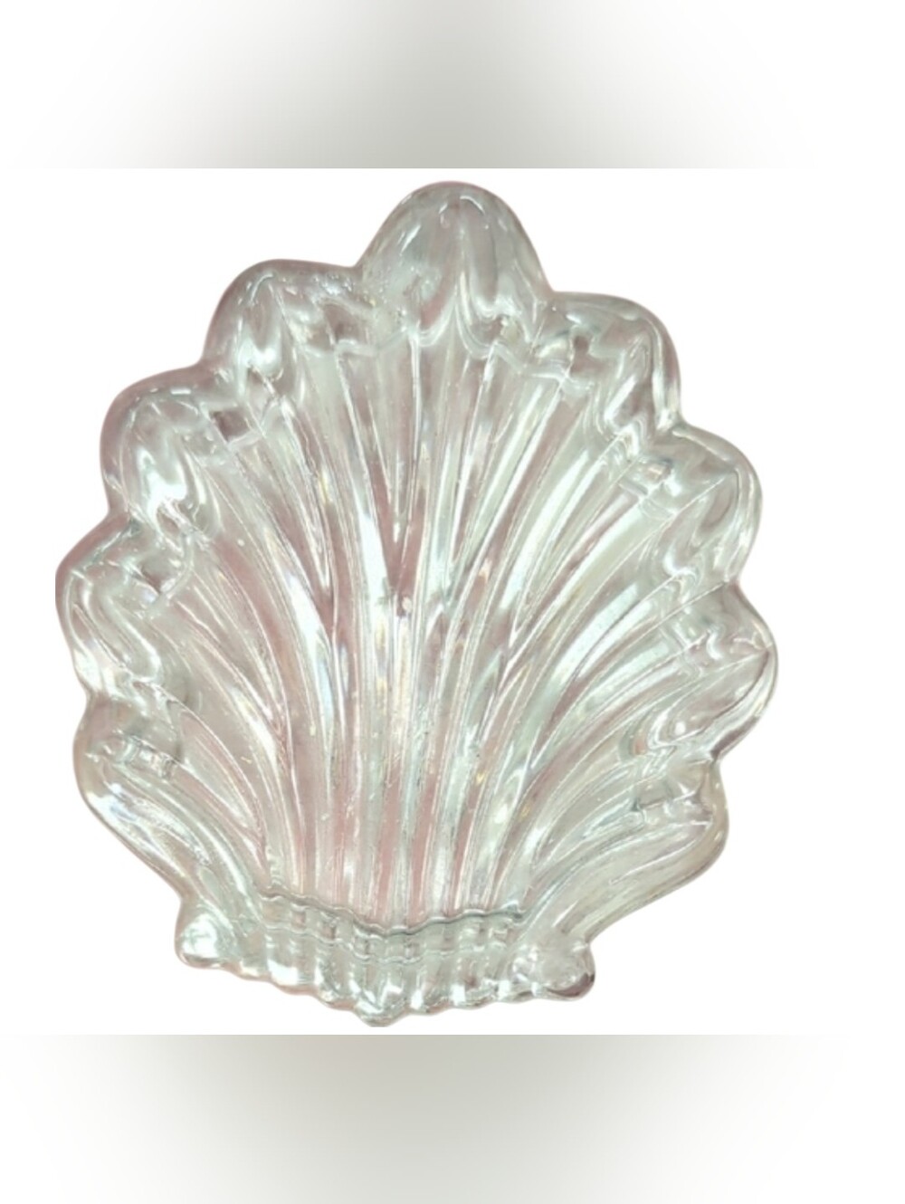 Elegant Clear Glass Shell Decor/ Jewelry Holder.  Two Pieces. Mini Dish & Lid.